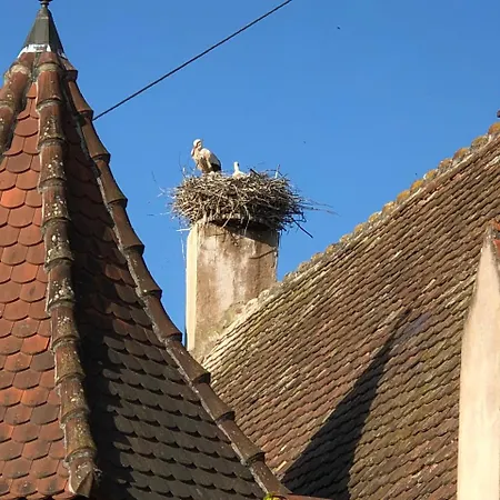 Nocleg ze śniadaniem Le Grenier Des Aromes Au Domaine Wittmann 3*
